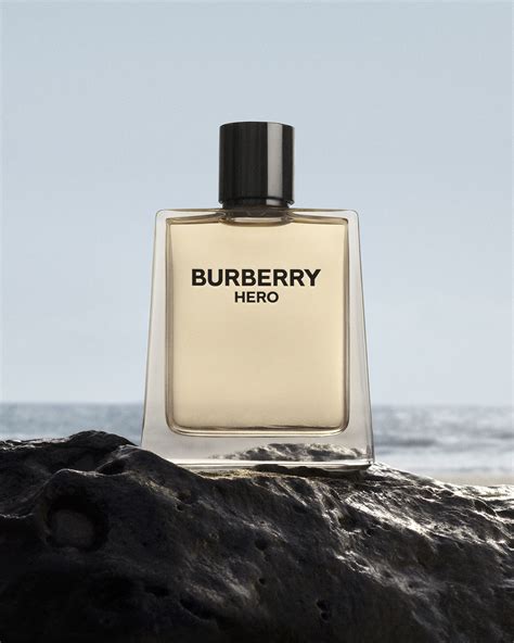 burberry hero ingredienti|burberry cologne for men.